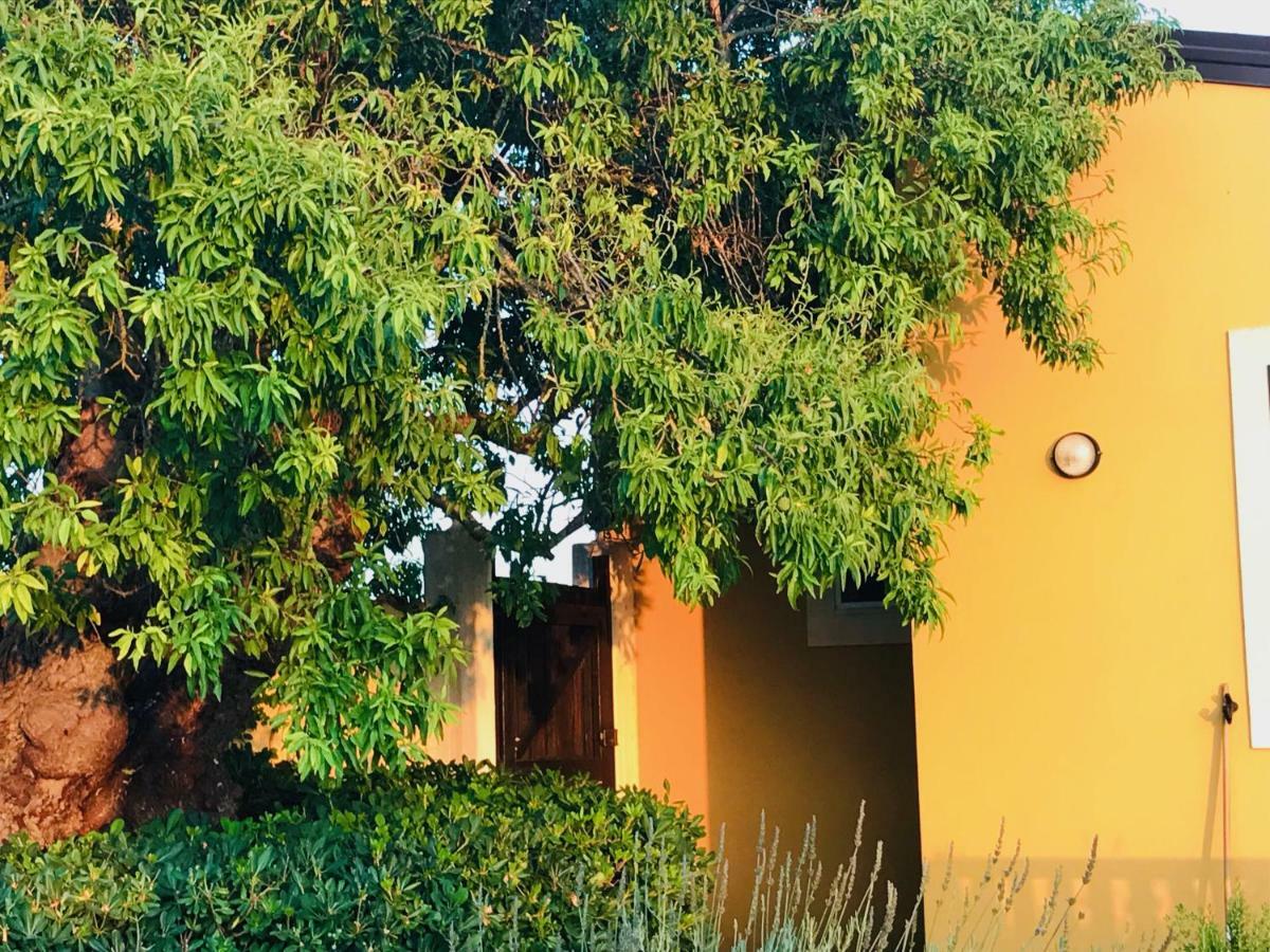 Villa Arcobaleno Di San Lorenzo Noto Exterior foto